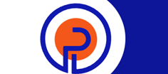 Punto Padel logo